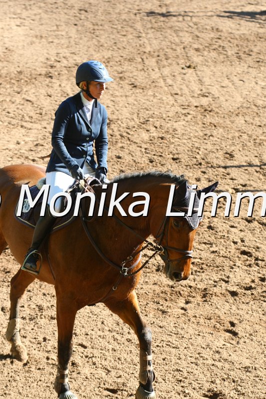 104M9059_Spring M_m.Stechen.JPG